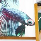 Retro "Betta" fotel és puff