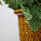 Jasba égtett nagyméretű kerámia kaspó/tároló