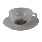  Arcopal French vintage romantic glass coffee set