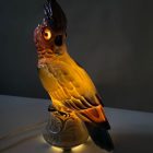 Porcelain cockatoo lamp from 70's