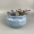 "Galaxy" blown craft glass bowl