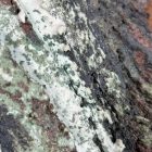  Madola brutalista madár falikép 1979