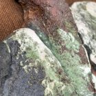  Madola brutalista madár falikép 1979